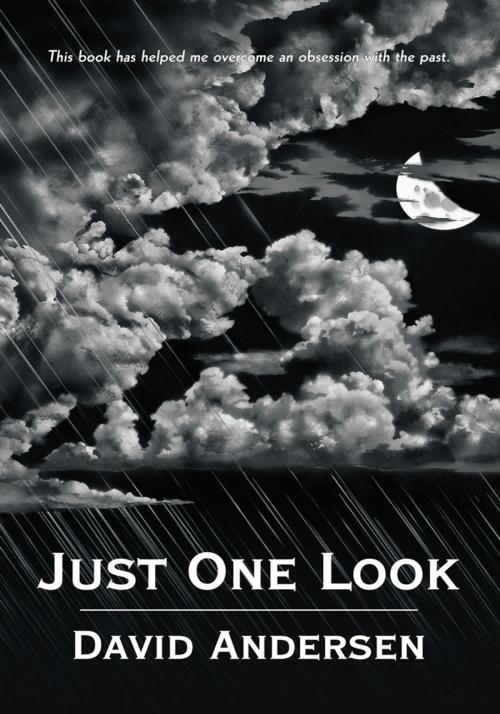 Cover of the book Just One Look by David Andersen, iUniverse