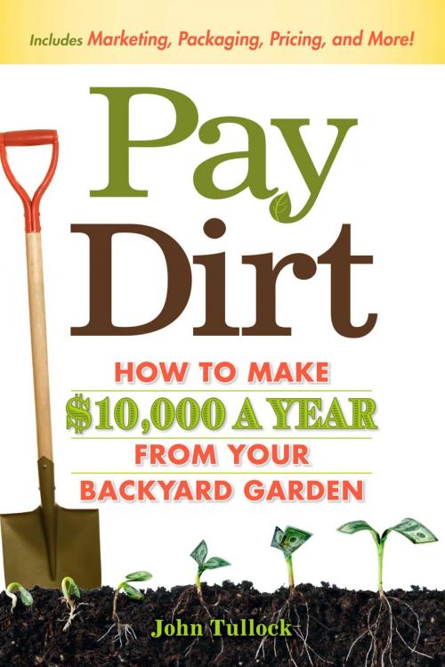 Cover of the book Pay Dirt by John Tullock, Adams Media