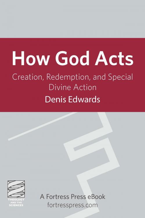 Cover of the book How God Acts by Denis Edwards, Fortress Press