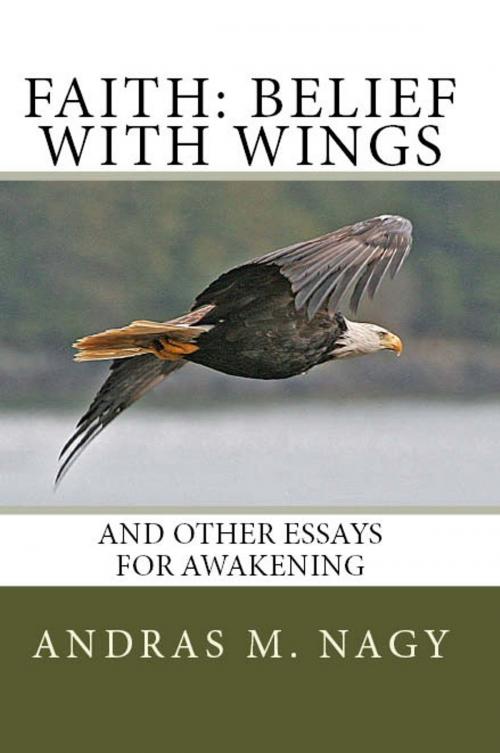 Cover of the book Faith Belief with Wings: and Other Essays for Awakening by Murine Publications LLC, Murine Publications LLC