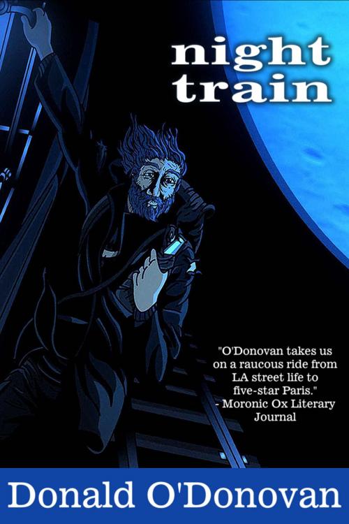 Cover of the book Night Train by Donald O'Donovan, Open Books