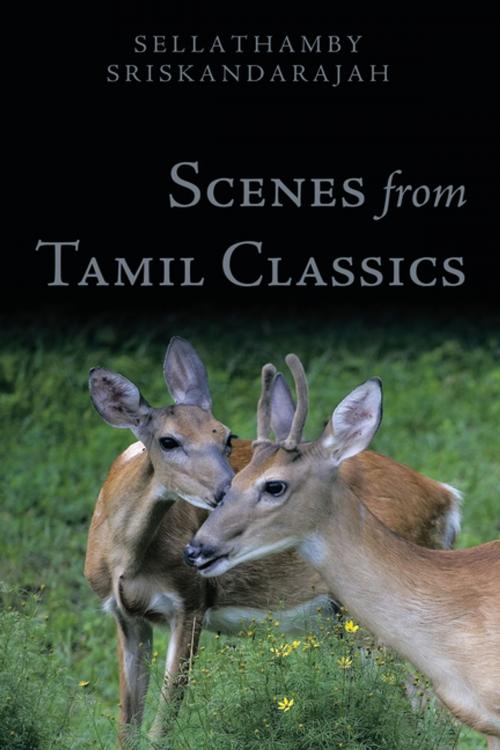 Cover of the book Scenes from Tamil Classics by Sellathamby Sriskandarajah, AuthorHouse UK