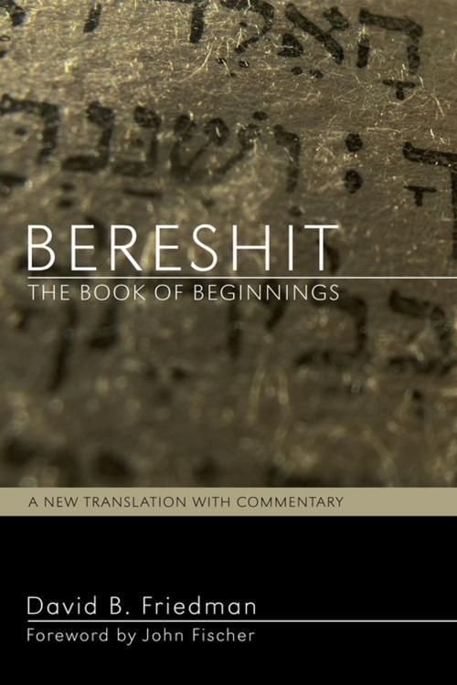 Cover of the book Bereshit, The Book of Beginnings by David B. Friedman, Wipf and Stock Publishers