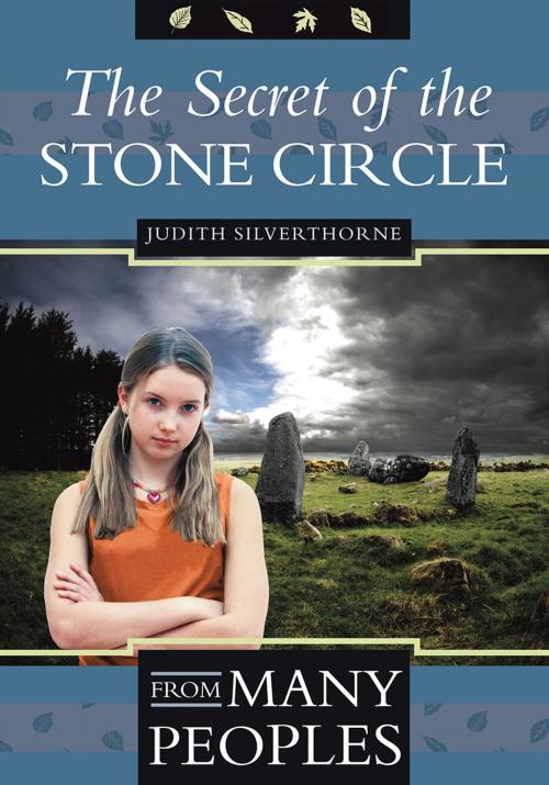 Cover of the book The Secret of the Stone Circle by Judith Silverthorne, Coteau Books