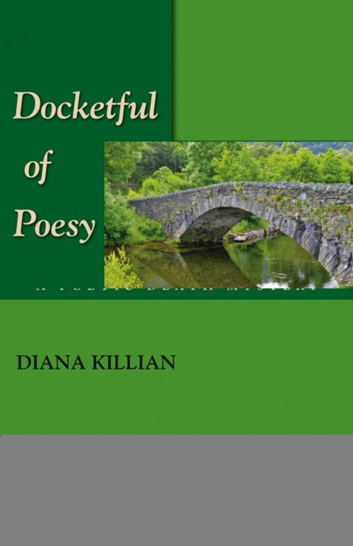Cover of the book Docketful of Poesy by Diana Killian, Perseverance Press