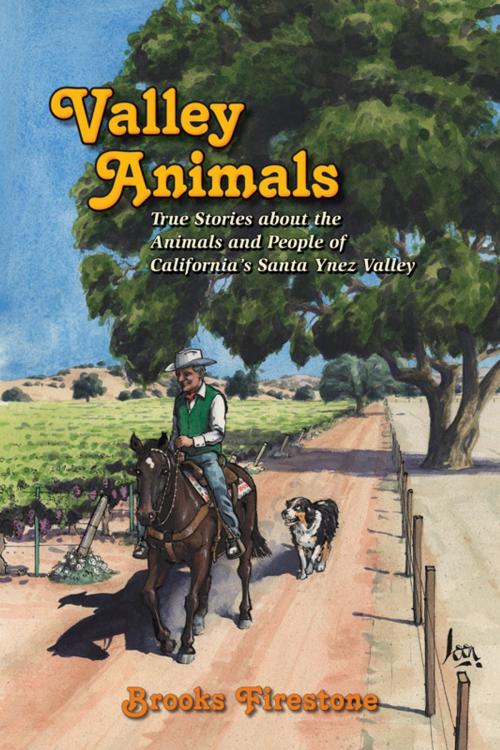 Cover of the book Valley Animals by Brooks Firestone, Daniel & Daniel Publishers