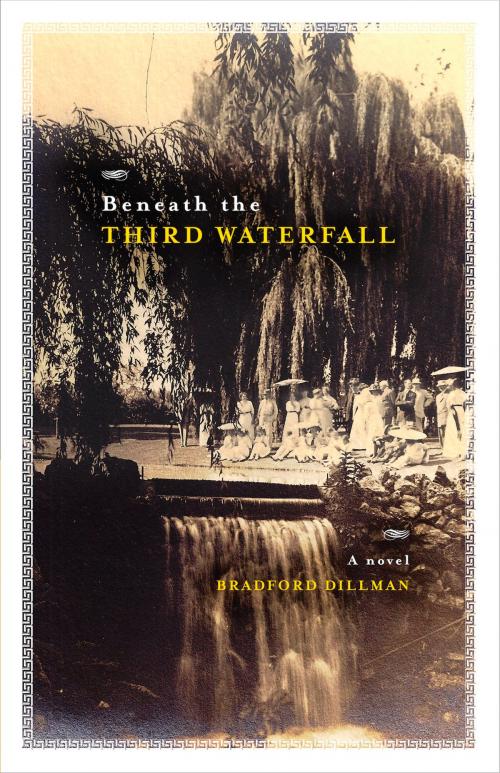 Cover of the book Beneath The Third Waterfall by Bradford  Dillman, Daniel & Daniel Publishers