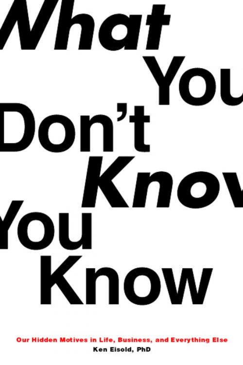 Cover of the book What You Don't Know You Know by Ken Eisold, Other Press