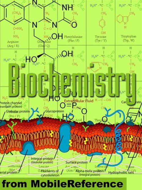 Cover of the book Biochemistry Study Guide: Enzymes, Membranes And Transport, Energy Pathways, Signal Transduction, Cellular Respiration, Glycolysis, Krebs/Citric Acid Cycle & More (Mobi Study Guides) by MobileReference, MobileReference