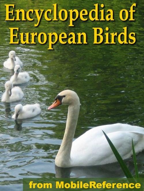 Cover of the book The Illustrated Encyclopedia Of European Birds: An Essential Guide To Birds Of Europe (Mobi Reference) by MobileReference, MobileReference