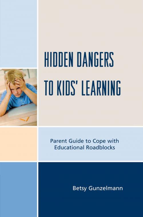 Cover of the book Hidden Dangers to Kids' Learning by Betsy Gunzelmann, R&L Education