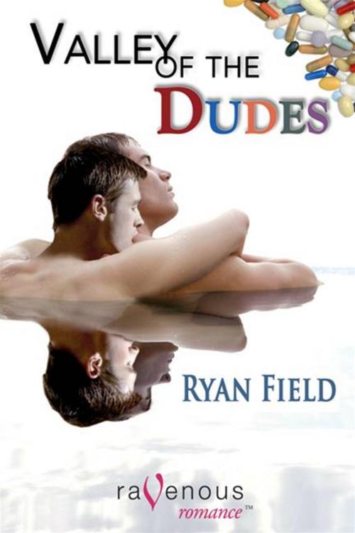 Cover of the book Valley Of The Dudes by Ryan Field, Ravenous Romance