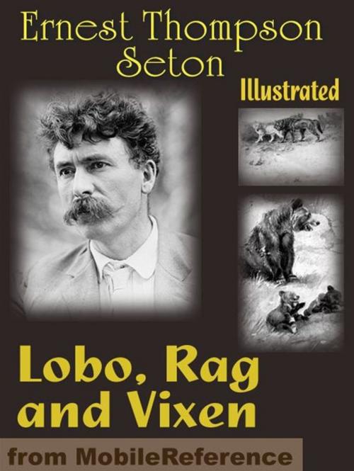 Cover of the book Lobo, Rag And Vixen. Illustrated: Being The Personal Histories Of Lobo, Redruff, Raggylug & Vixen (Mobi Classics) by Ernest Thompson Seton, MobileReference