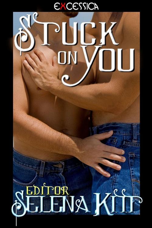 Cover of the book Stuck on You by Selena Kitt, Excessica