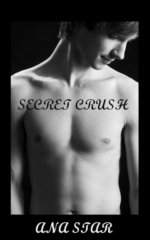 Cover of the book Secret Crush by Ana Star, Written Expressions LLC