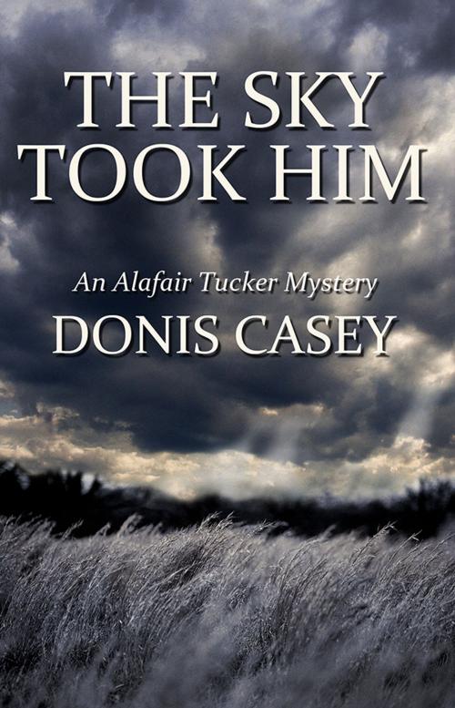 Cover of the book The Sky Took Him by Donis Casey, Sourcebooks