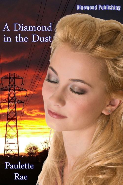 Cover of the book A Diamond in the Dust by Paulette Rae, Bluewood Publishing
