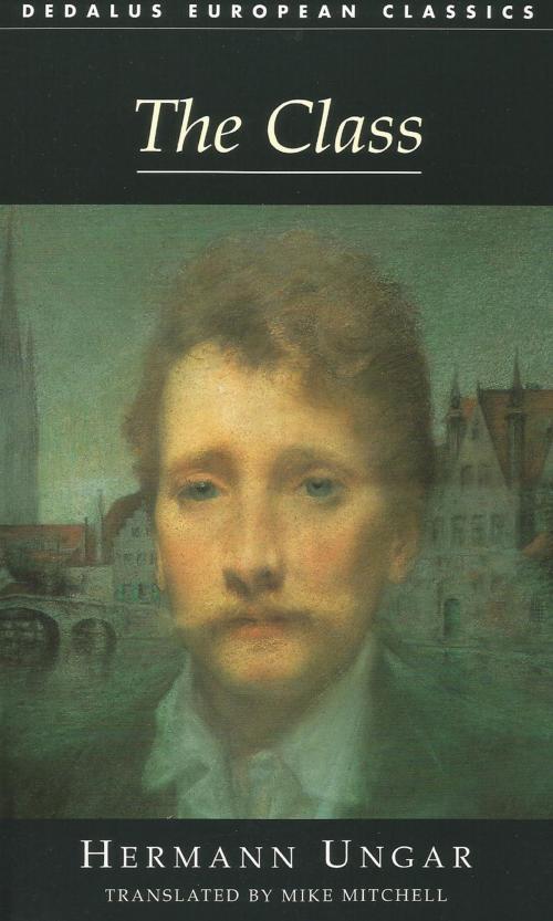 Cover of the book The Class by Hermann Ungar, Dedalus Ebooks