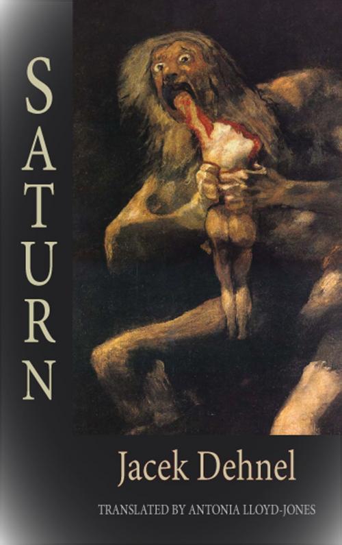 Cover of the book Saturn by Jacek Dehnel, Dedalus Ebooks