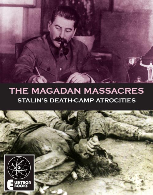 Cover of the book The Magadan Massacres by Stephen Barber, Elektron Ebooks