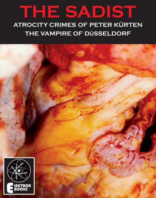 Cover of the book THE SADIST by Karl Berg, Elektron Ebooks