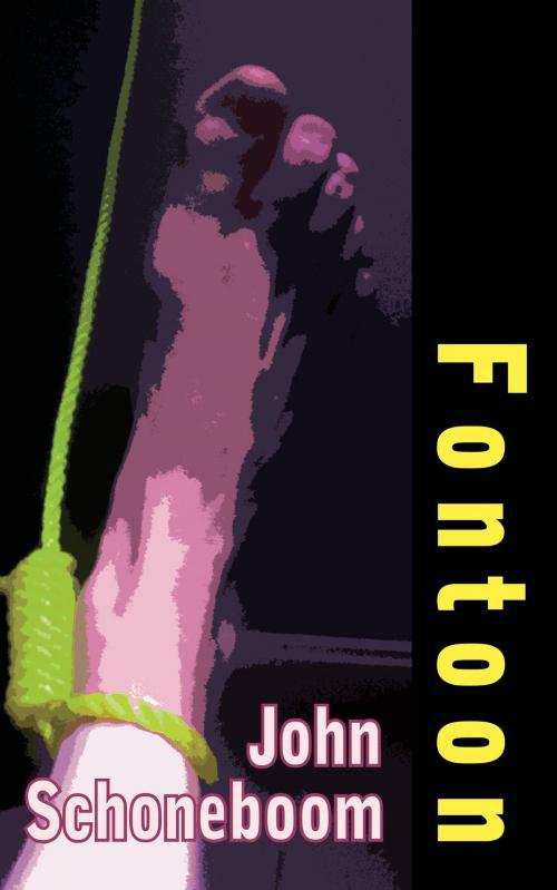 Cover of the book Fontoon by John Schoneboom, Dedalus Ebooks