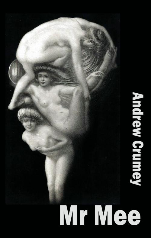 Cover of the book Mr Mee by Andrew Crumey, Dedalus Ebooks