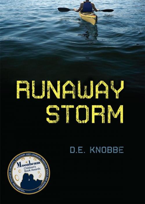 Cover of the book Runaway Storm by Dawne Knobbe, Emerald Book Company