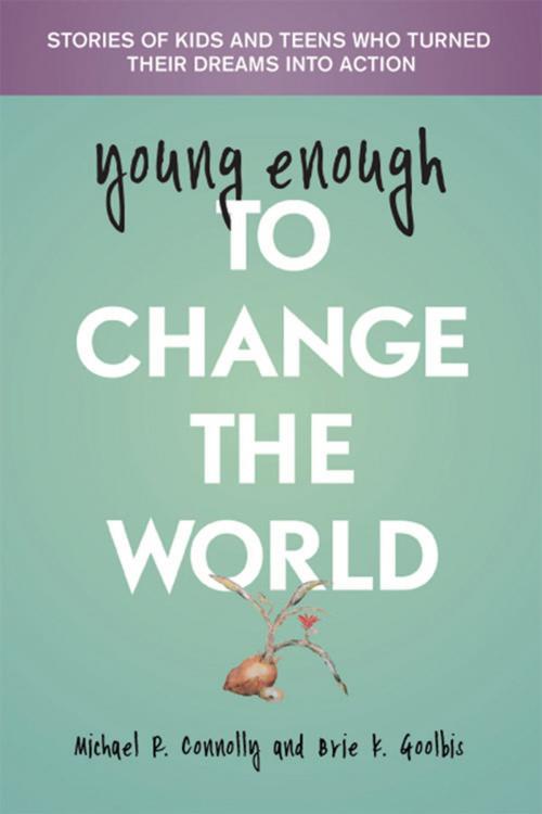 Cover of the book Young Enough To Change The World by Michael R. Connolly, Kalindi Press