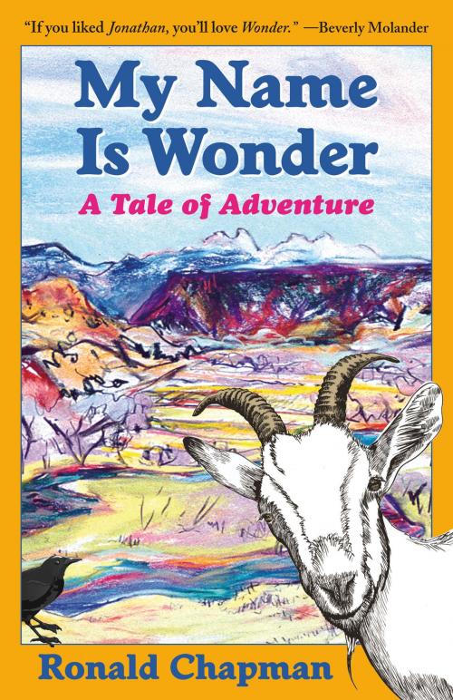 Cover of the book My Name Is Wonder by Ronald Chapman, Terra Nova Books