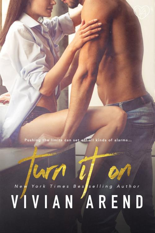Cover of the book Turn It On by Vivian Arend, Arend Publishing Inc.