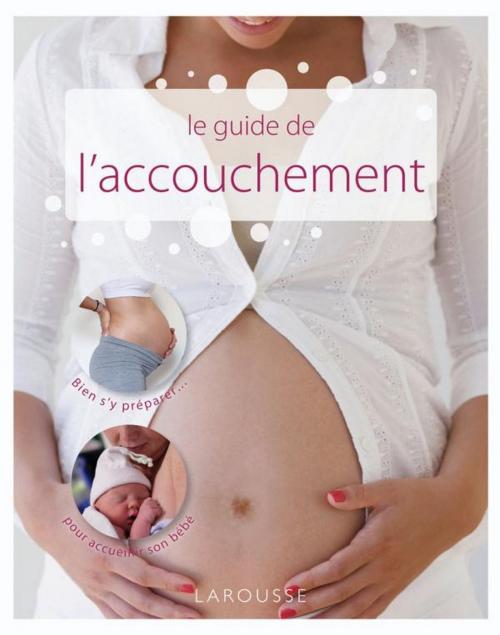 Cover of the book Le guide de l'accouchement by Benoît Le Goedec, Larousse