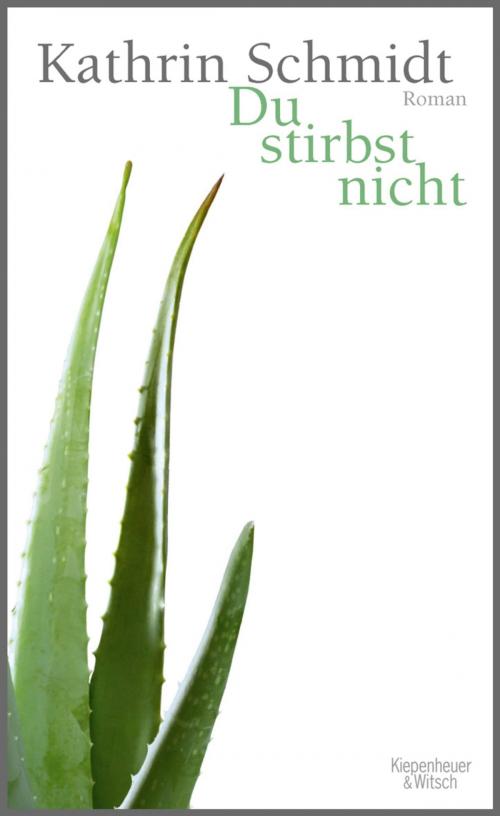 Cover of the book Du stirbst nicht by Kathrin Schmidt, Kiepenheuer & Witsch eBook