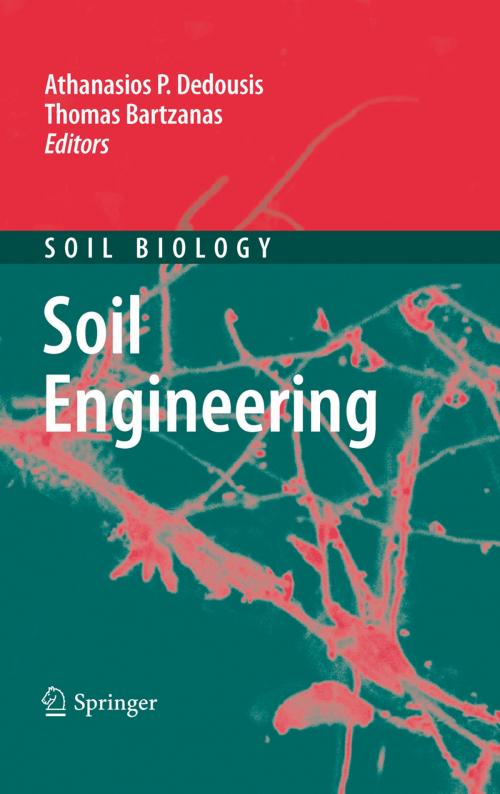 Cover of the book Soil Engineering by , Springer Berlin Heidelberg