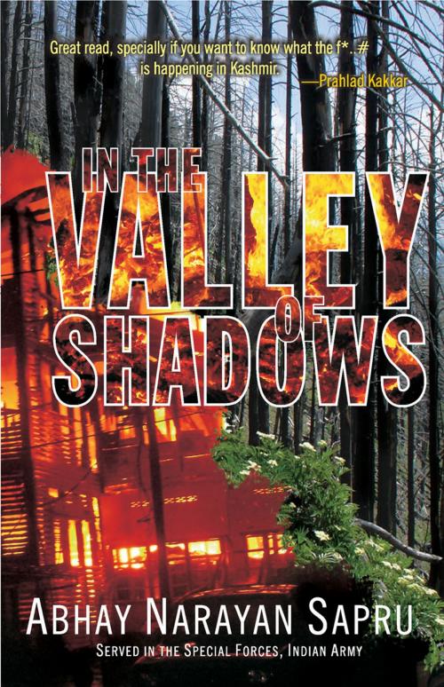 Cover of the book In the Valley of Shadows by Abhay Narayan Sapru, Wisdom Tree Publishers