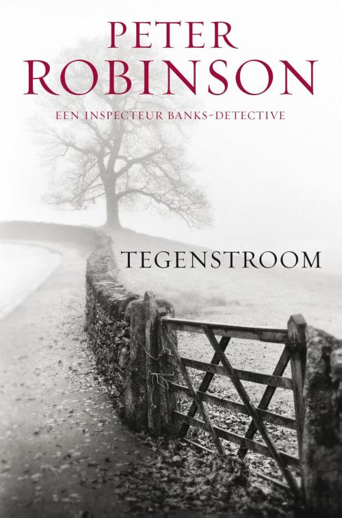 Cover of the book Tegenstroom by Peter Robinson, Bruna Uitgevers B.V., A.W.