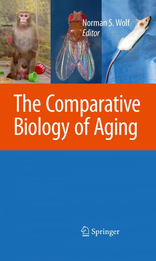 Cover of the book Comparative Biology of Aging by , Springer Netherlands