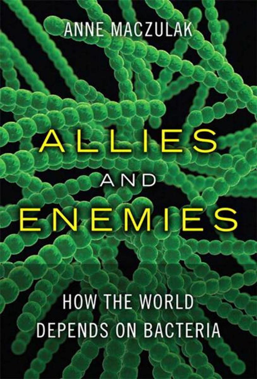 Big bigCover of Allies and Enemies