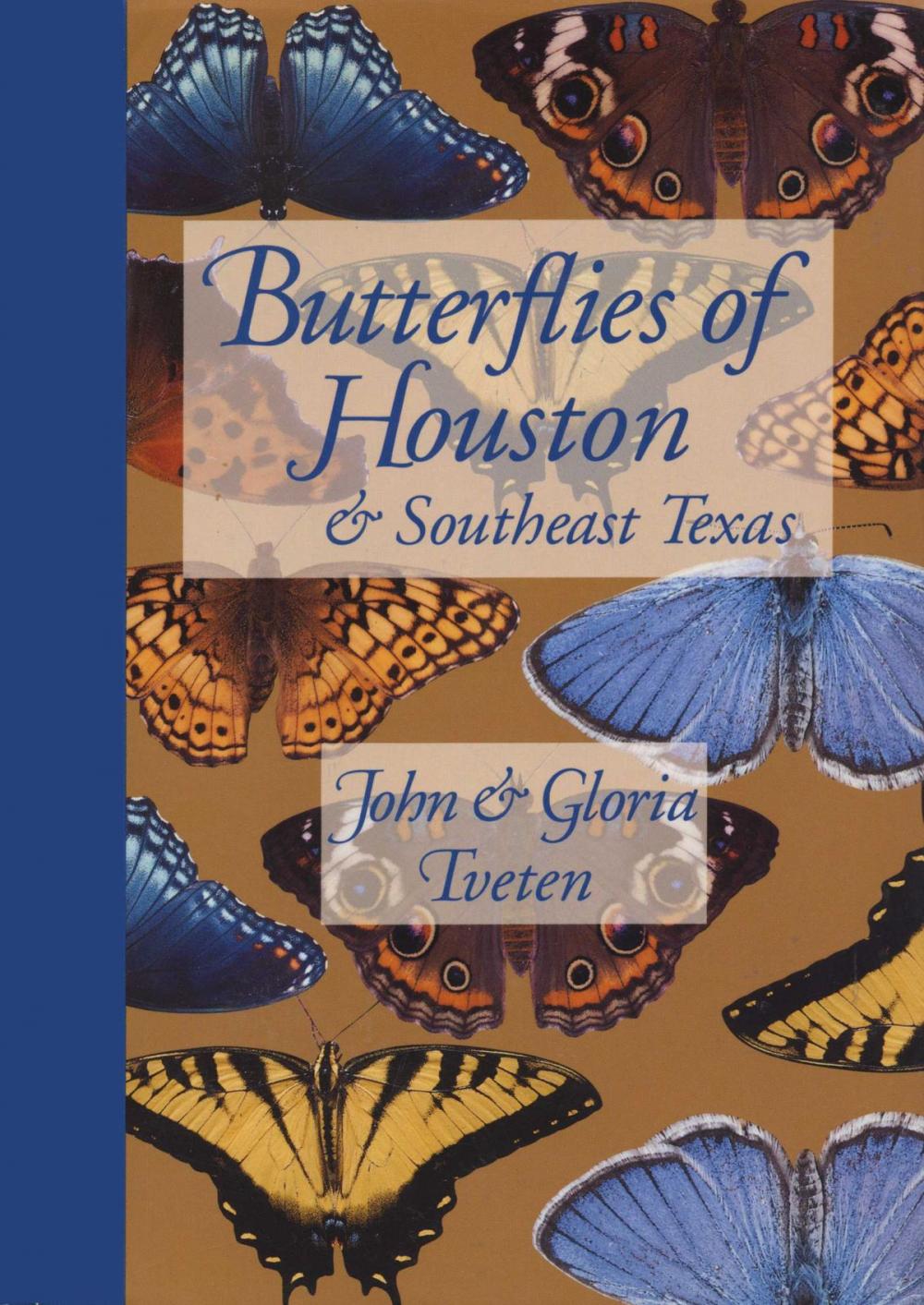 Big bigCover of Butterflies of Houston and Southeast Texas