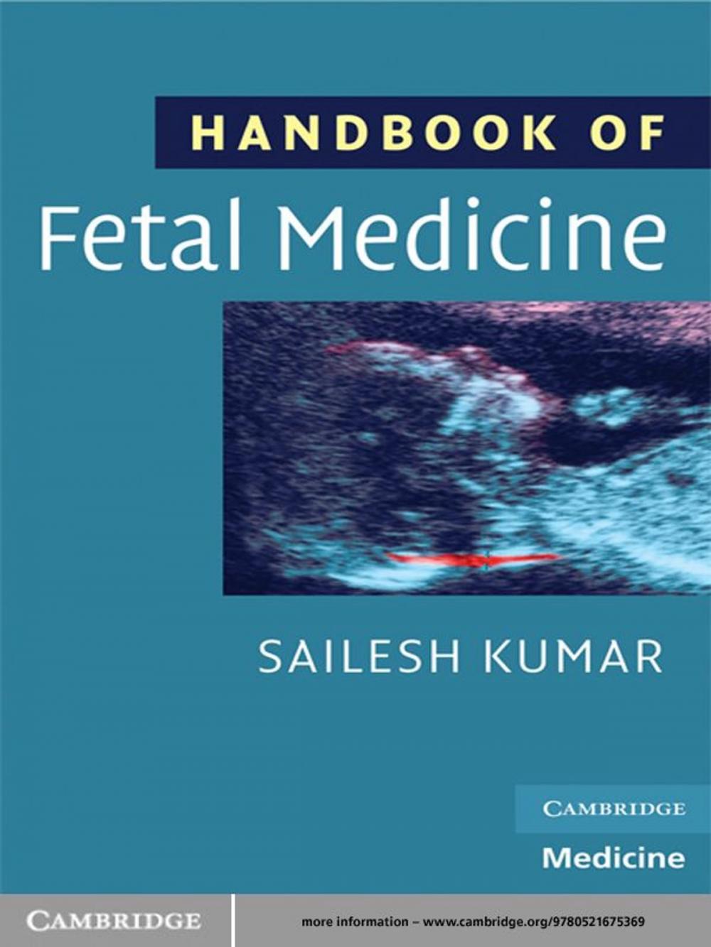 Big bigCover of Handbook of Fetal Medicine
