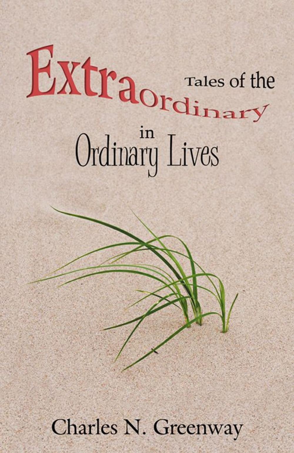 Big bigCover of Tales Of The Extraordinary In Ordinary Lives