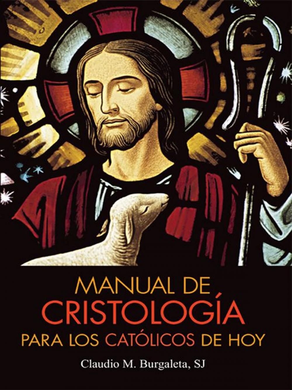 Big bigCover of Manual de Cristología para los católicos de hoy