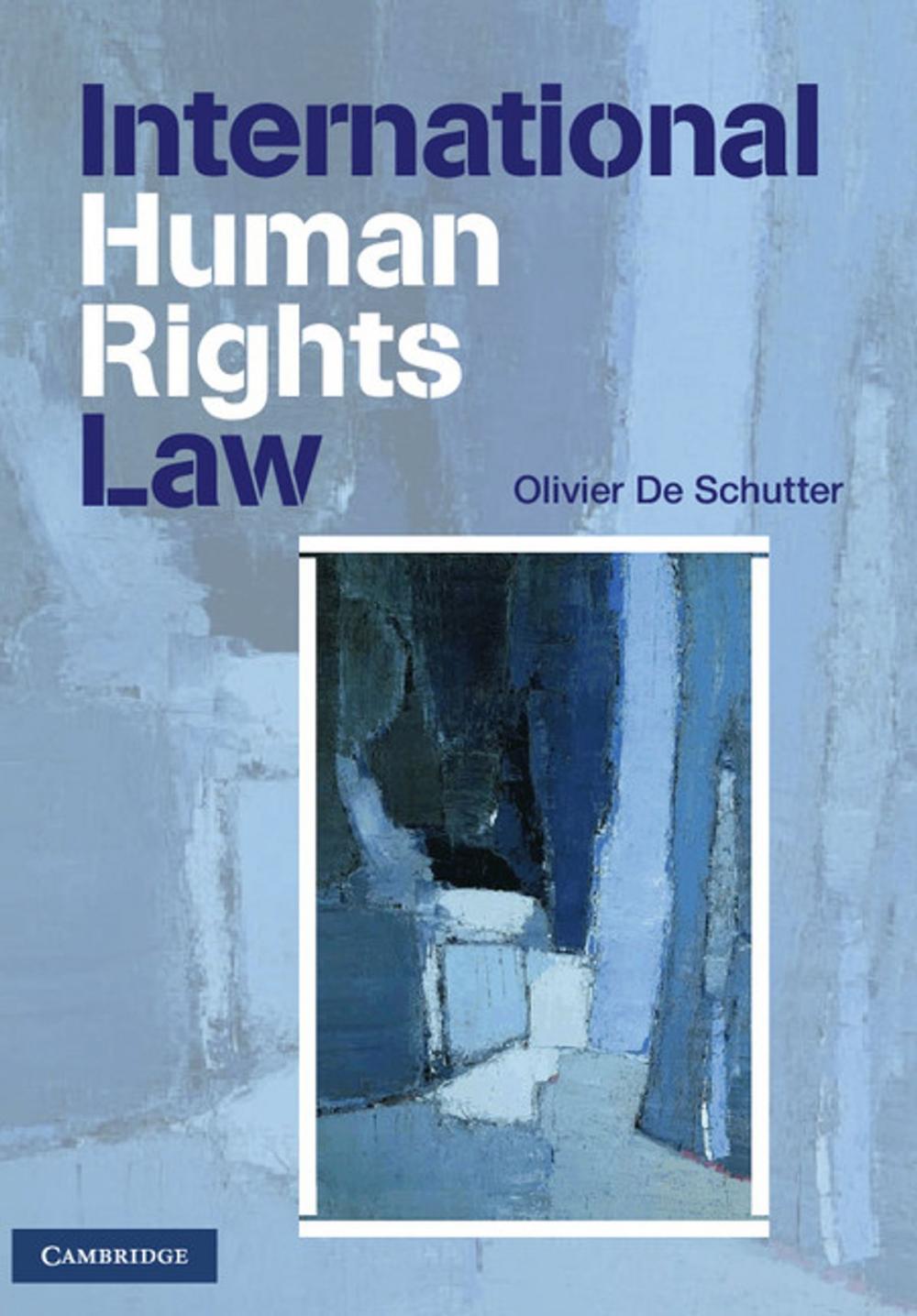 Big bigCover of International Human Rights Law