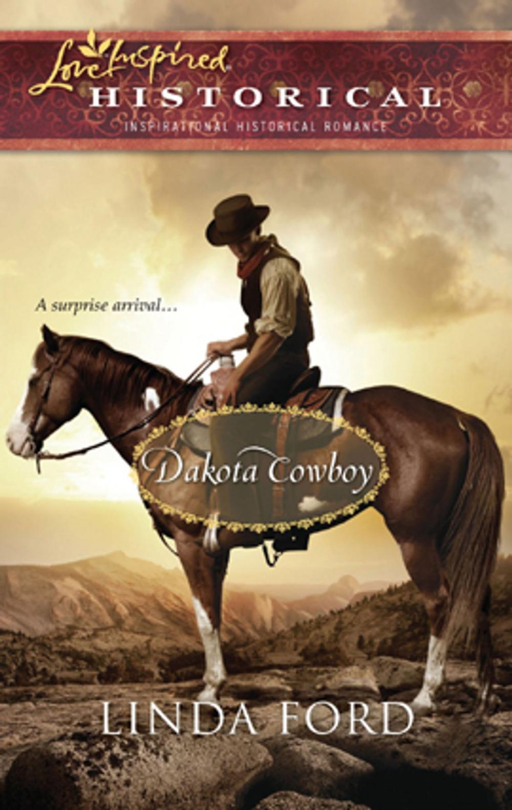 Big bigCover of Dakota Cowboy