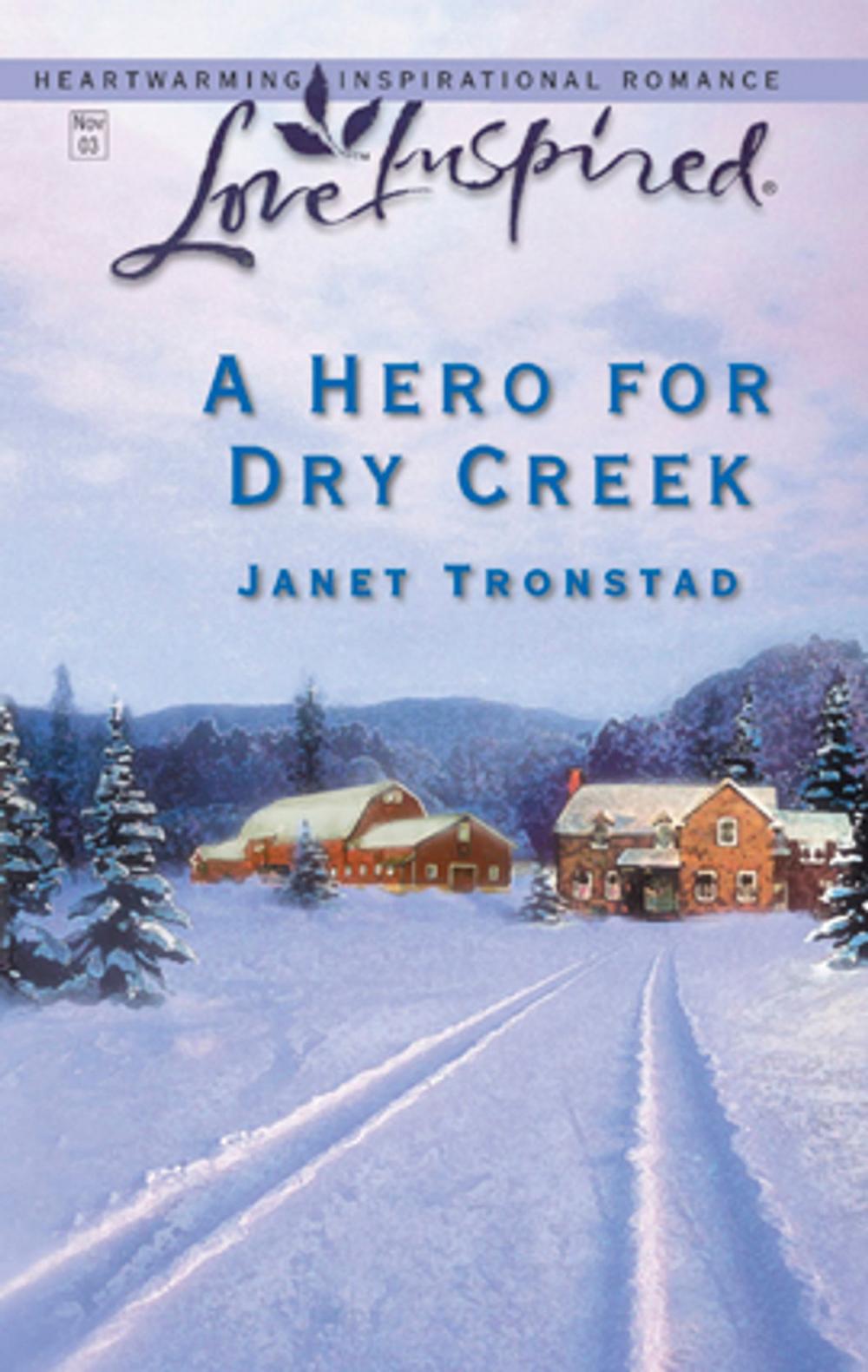 Big bigCover of A Hero for Dry Creek