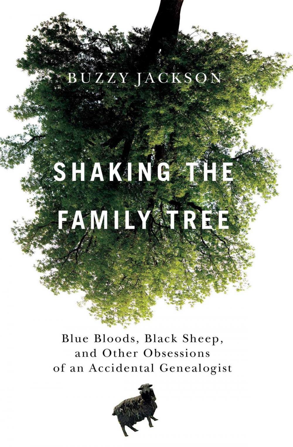 Big bigCover of Shaking the Family Tree