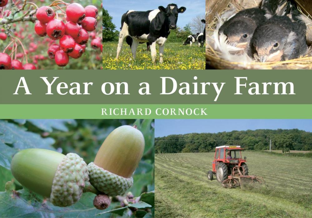 Big bigCover of A Year on a Dairy Farm
