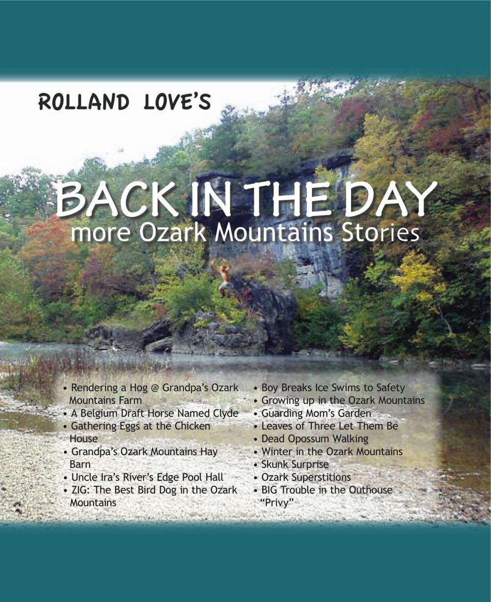 Big bigCover of Back In The Day ... more Ozark Mountain Stories