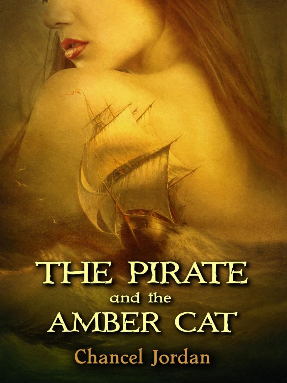 Big bigCover of The Pirate and the Amber Cat