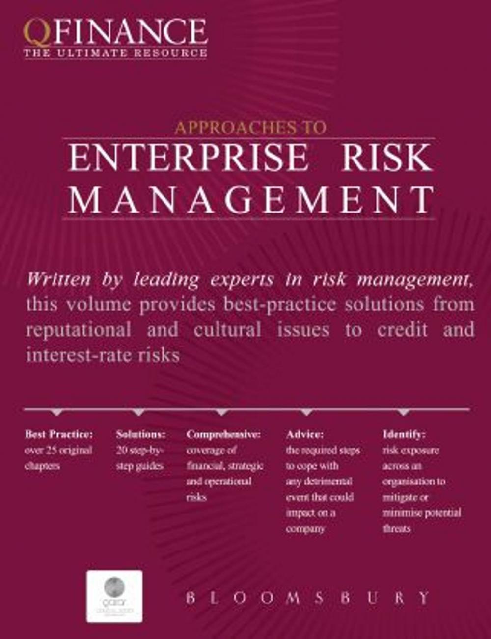 Big bigCover of Approaches to Enterprise Risk Management
